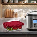 Conjunto de 10 Marmitas Prêmio Hermético Vidro 4 Travas 375ml Retangular Vermelho